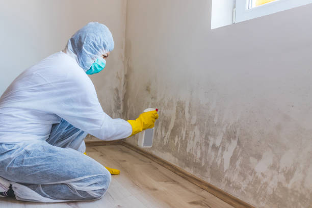 Licensed Mold Testing service in Saddle Brook, NJ - WQB Mold Removal