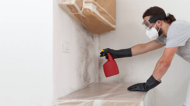 Professional Mold Testing technician working in Saddle Brook, NJ