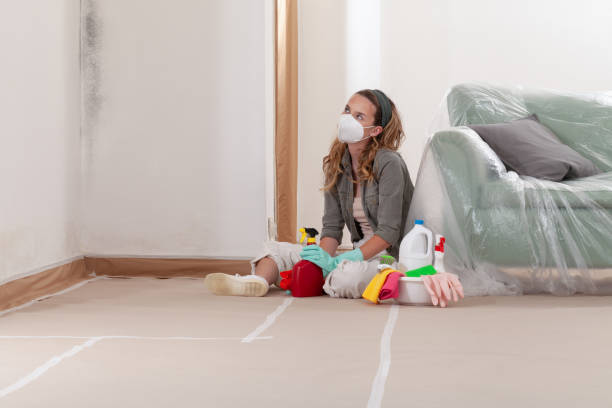 Reliable Mold Testing contractor in Saddle Brook, NJ by WQB Mold Removal